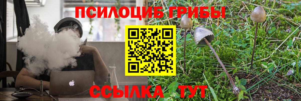 Славянск-на-Кубани  Галлюциногенные грибы ЛСД  Вход с VPN 